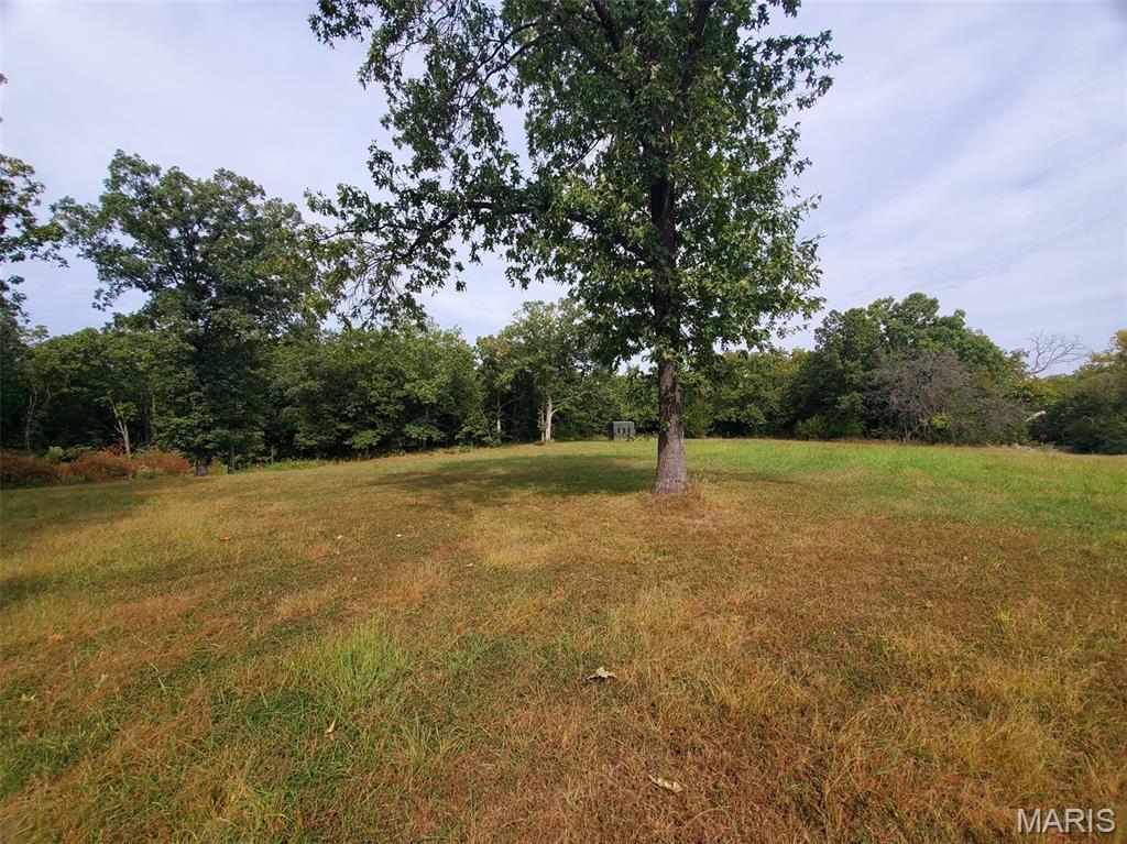 28148 Commanche Trail Property Photo 87