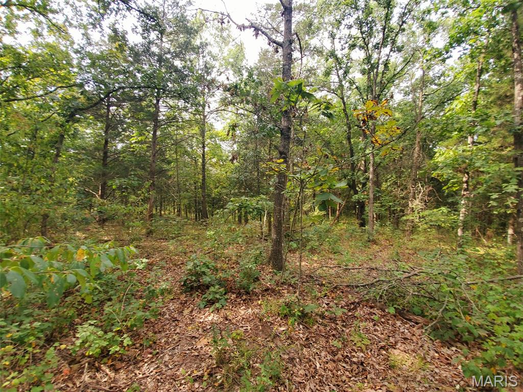 28148 Commanche Trail Property Photo 89