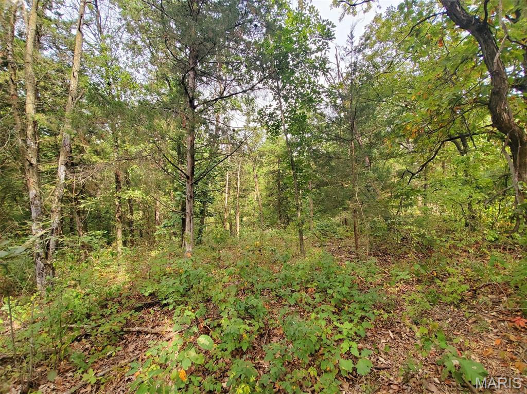 28148 Commanche Trail Property Photo 90