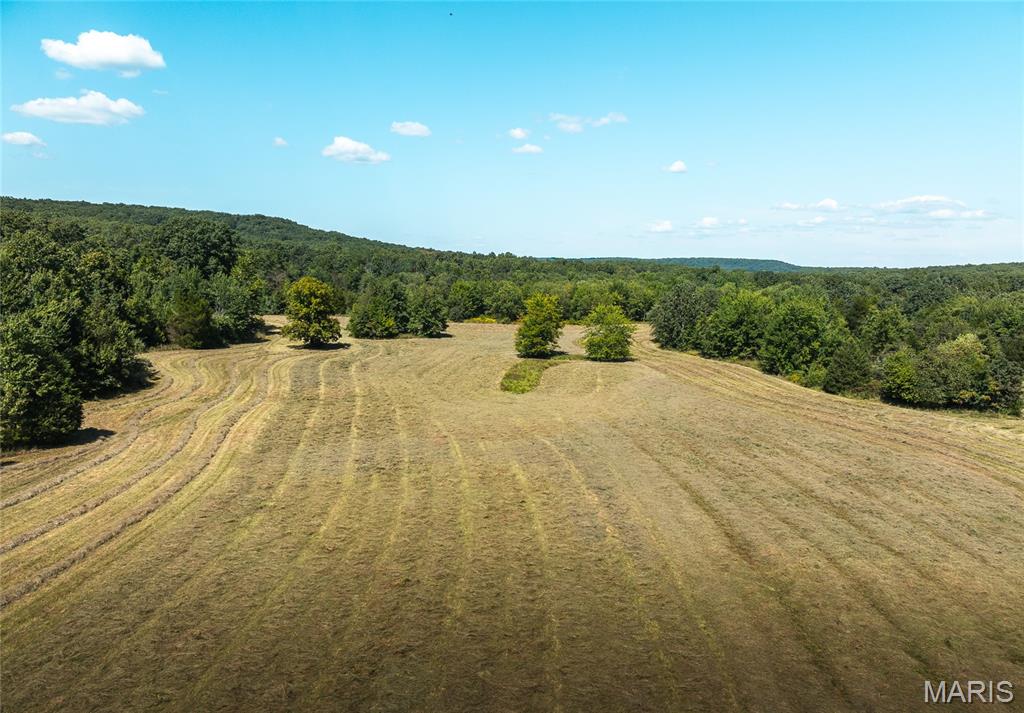 221 Highway Property Photo 3