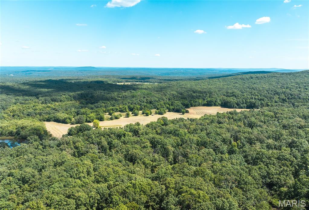 221 Highway Property Photo 14