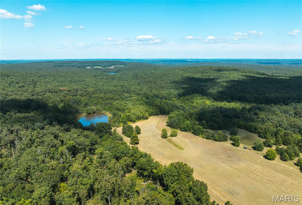221 Highway Property Photo 15