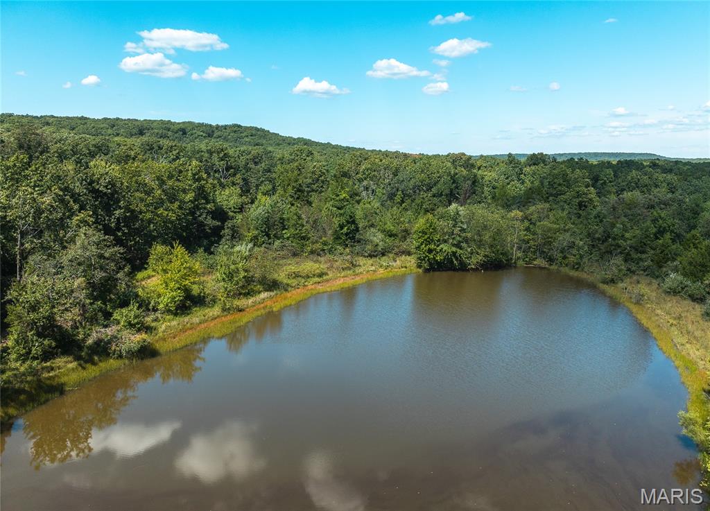 221 Highway Property Photo 18