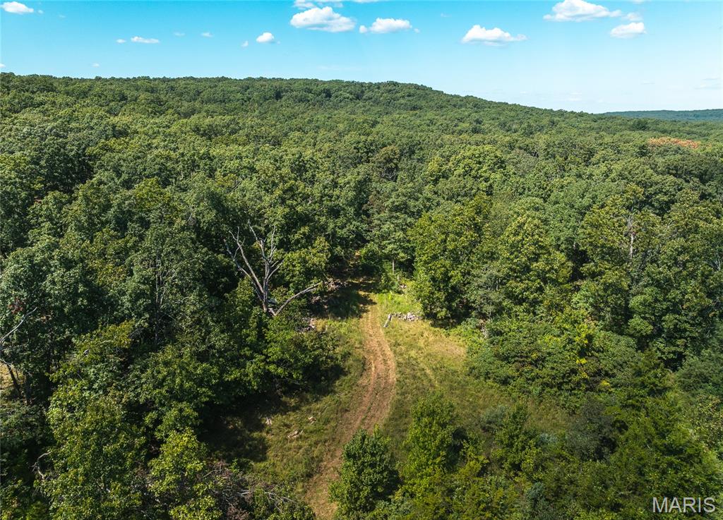 221 Highway Property Photo 19