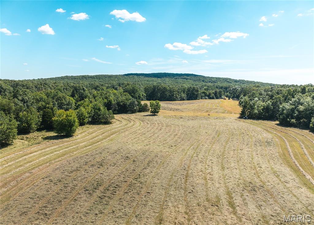 221 Highway Property Photo 21