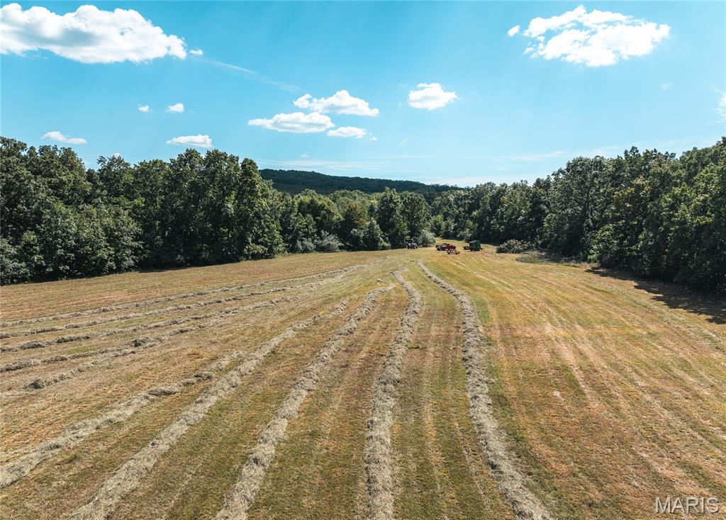 221 Highway Property Photo 33