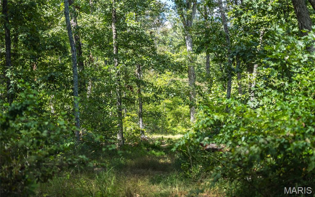 221 Highway Property Photo 35