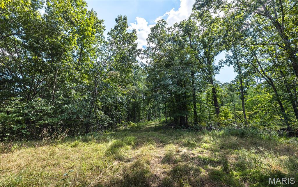 221 Highway Property Photo 40