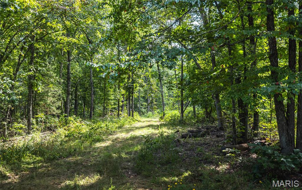 221 Highway Property Photo 41