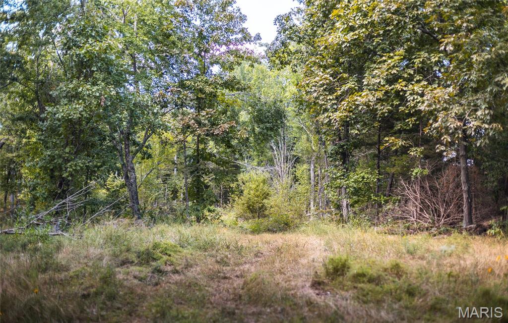 221 Highway Property Photo 46