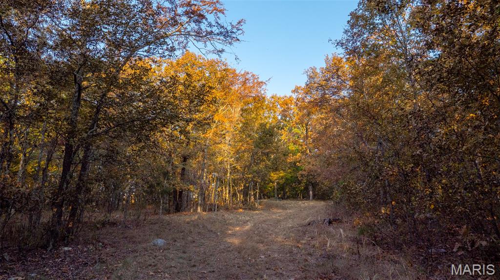 000 County Road 137 Property Photo 1