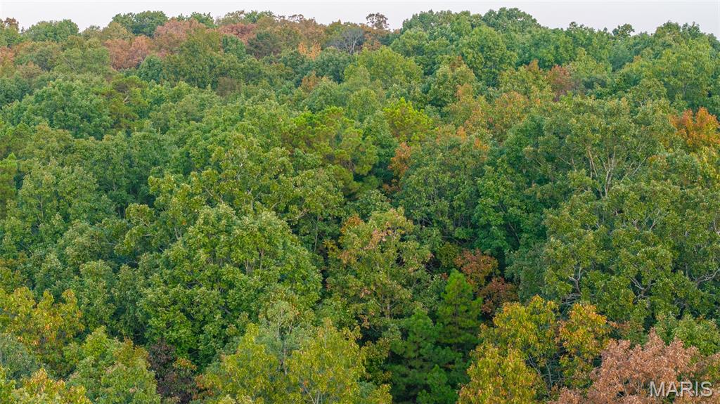 000 County Road 137 Property Photo 20