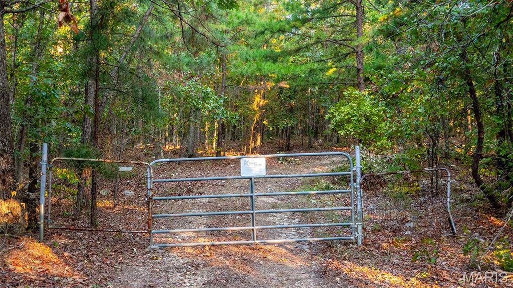 000 County Road 137 Property Photo 25