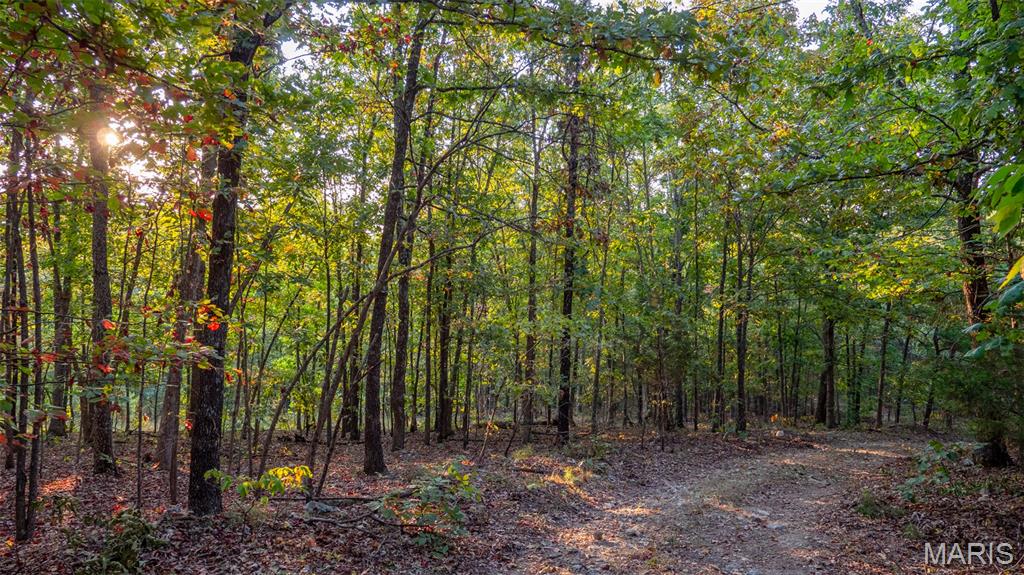 000 County Road 137 Property Photo 26