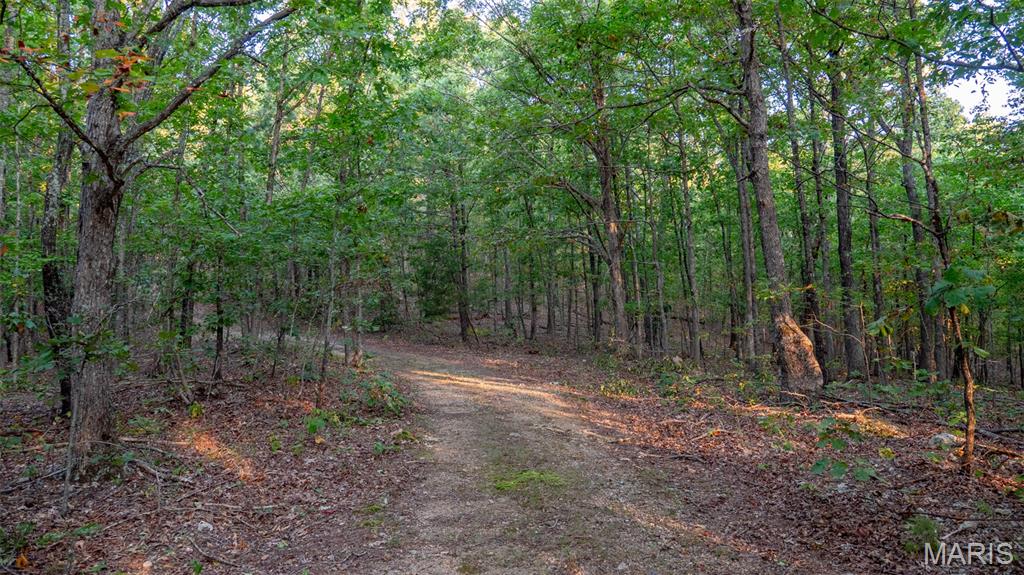 000 County Road 137 Property Photo 27