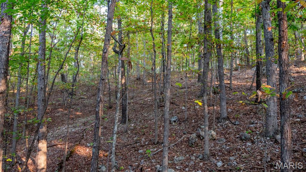 000 County Road 137 Property Photo 37