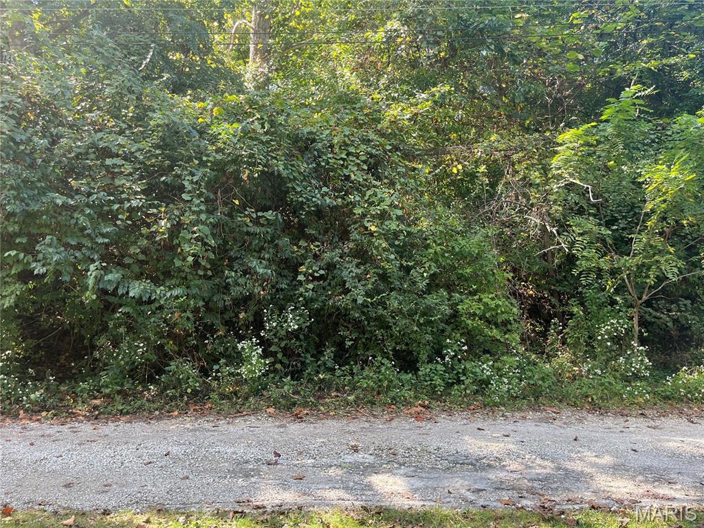 2135 Linnus Drive Property Photo 2