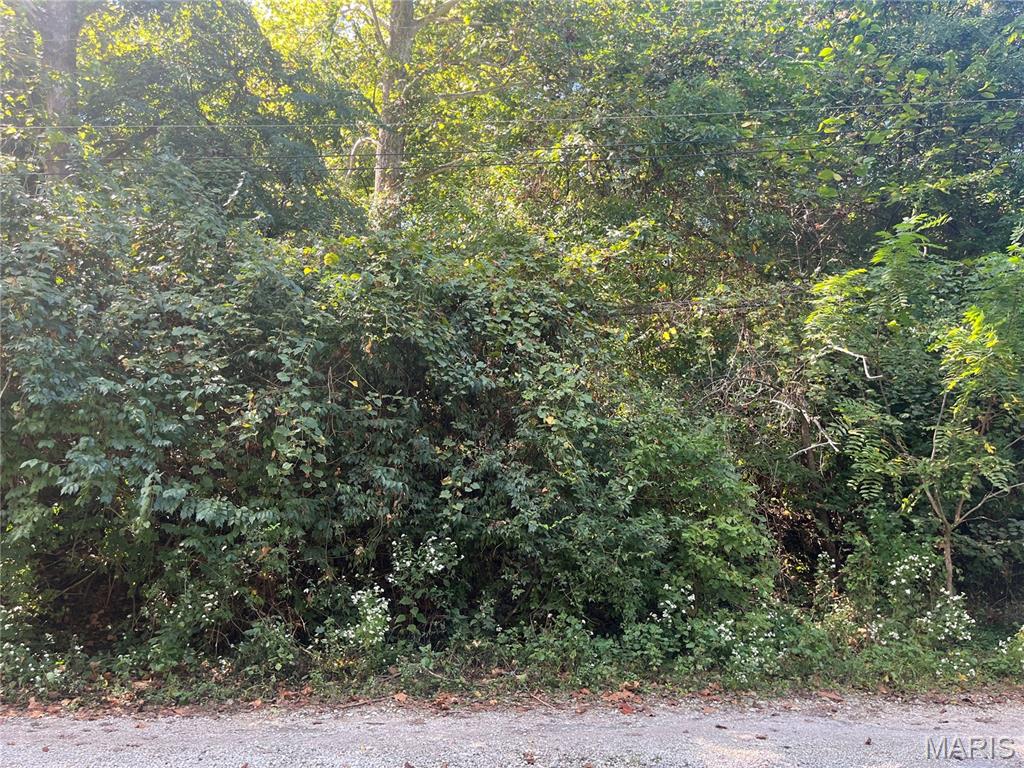 2135 Linnus Drive Property Photo 3