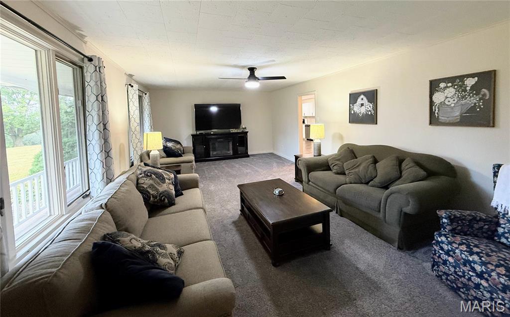 26172 Highway 11 Property Photo 5