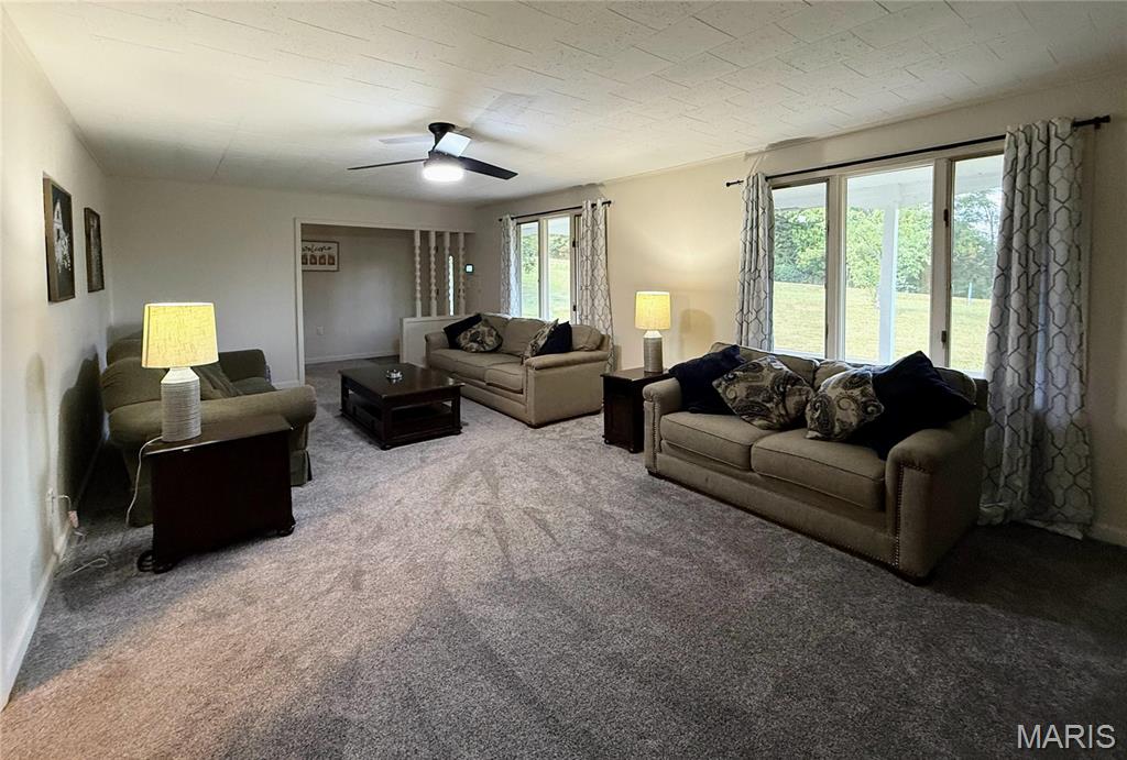 26172 Highway 11 Property Photo 6