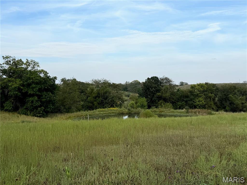 26172 Highway 11 Property Photo 21
