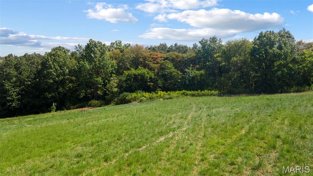 8075 State Highway A Property Photo 17