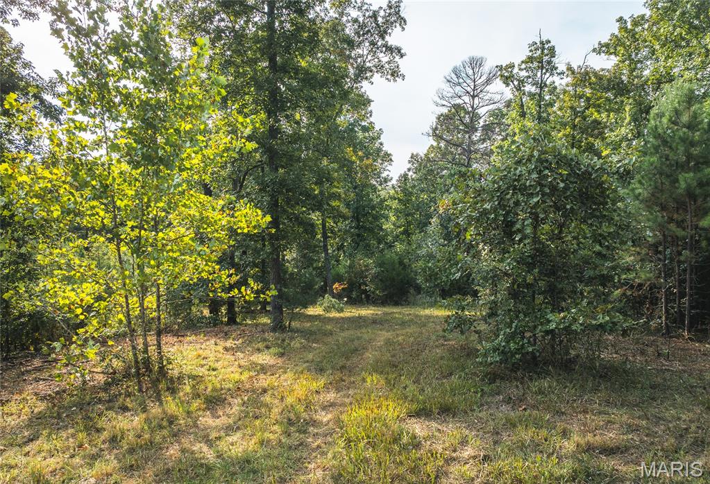 00 Tbd Highway H Property Photo 24