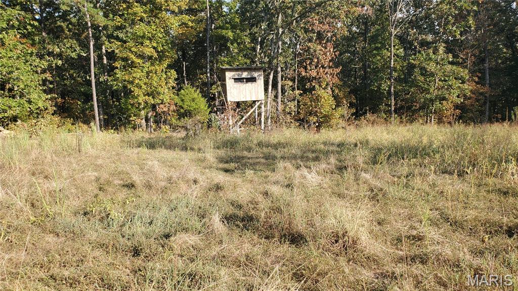 00 County Road 6030 Property Photo 1