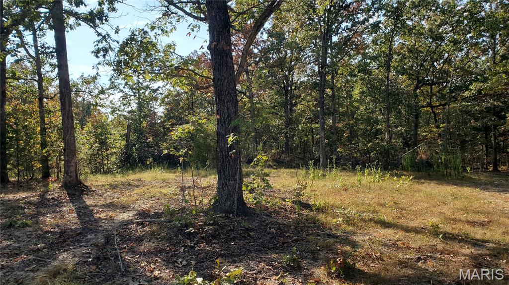 00 County Road 6030 Property Photo 3