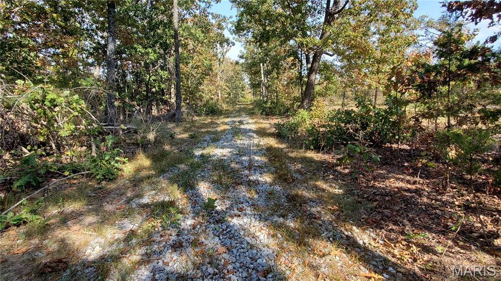 00 County Road 6030 Property Photo 6