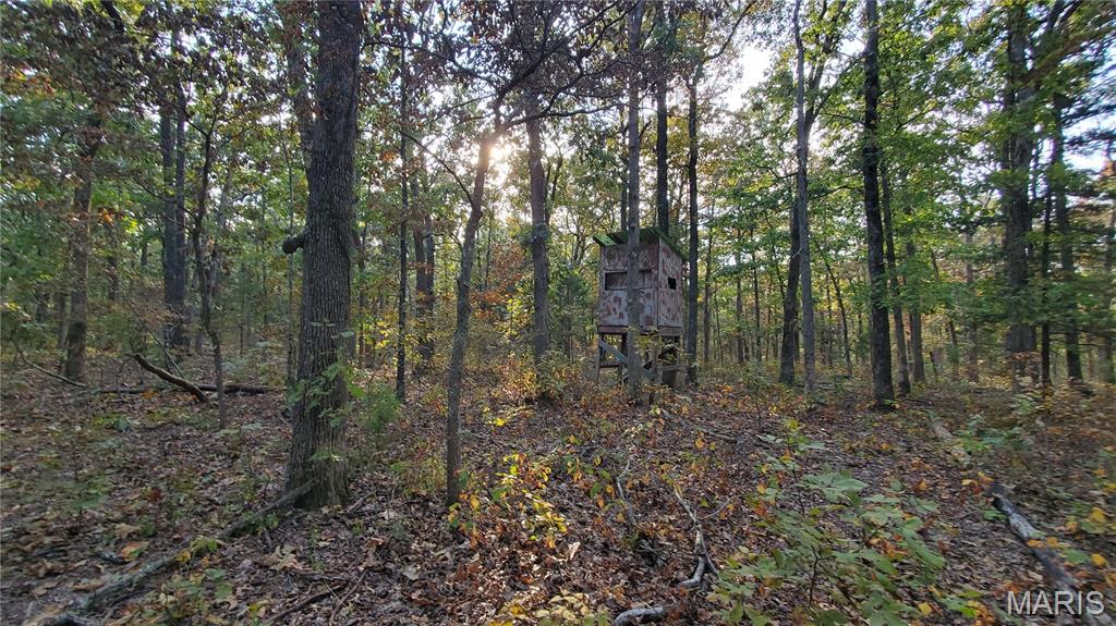 00 County Road 6030 Property Photo 7
