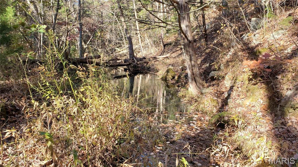 00 County Road 6030 Property Photo 8