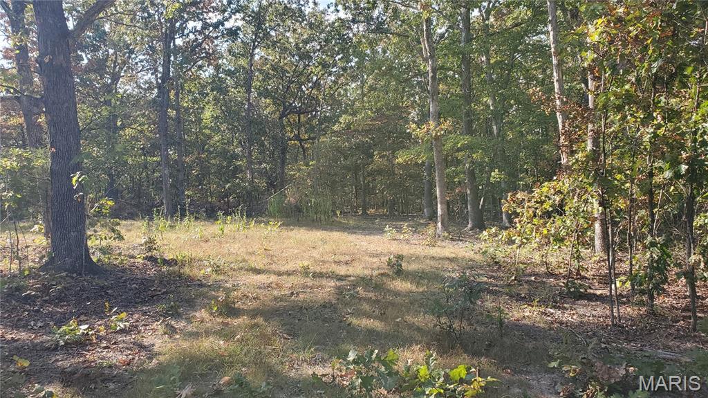 00 County Road 6030 Property Photo 9