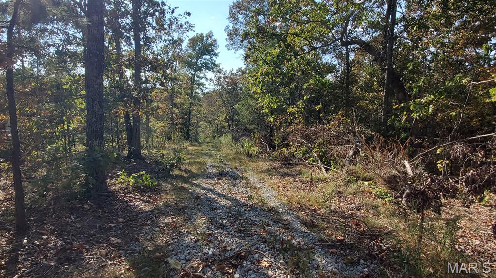 00 County Road 6030 Property Photo 13