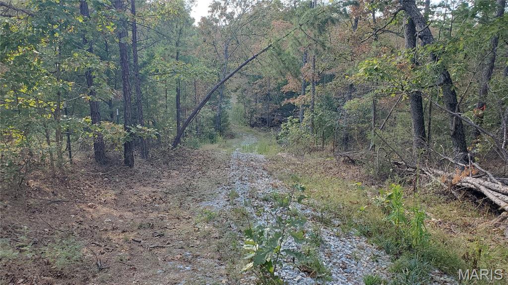 00 County Road 6030 Property Photo 14