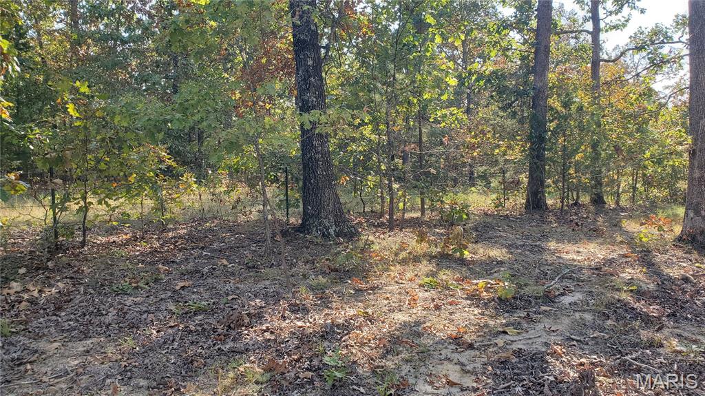 00 County Road 6030 Property Photo 15