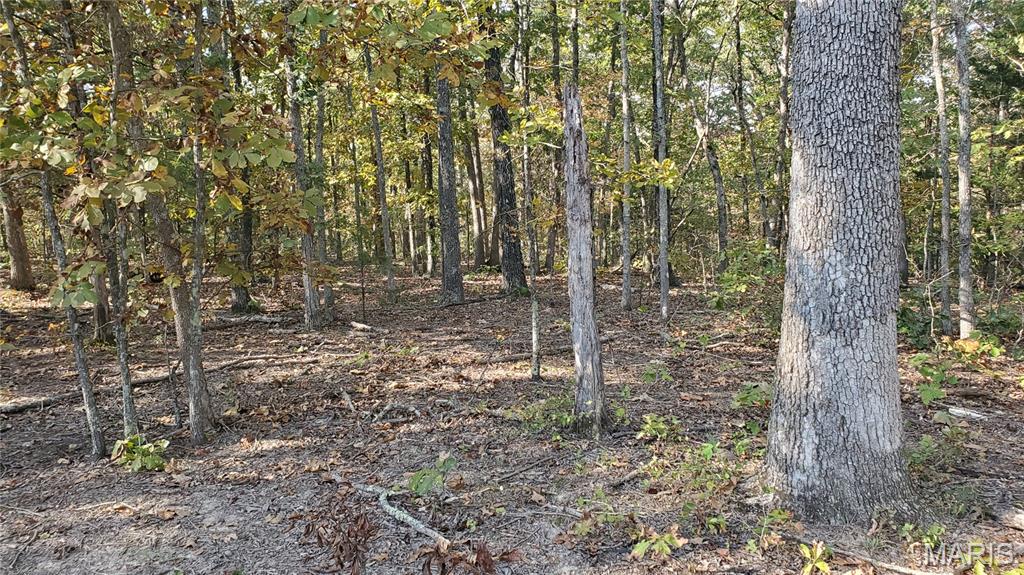 00 County Road 6030 Property Photo 17