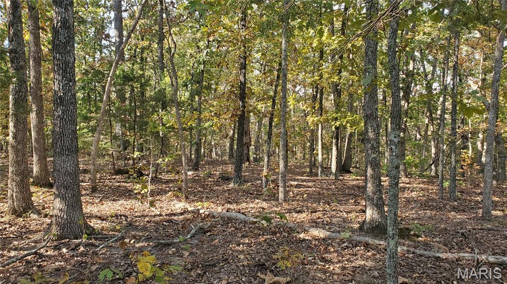 00 County Road 6030 Property Photo 18