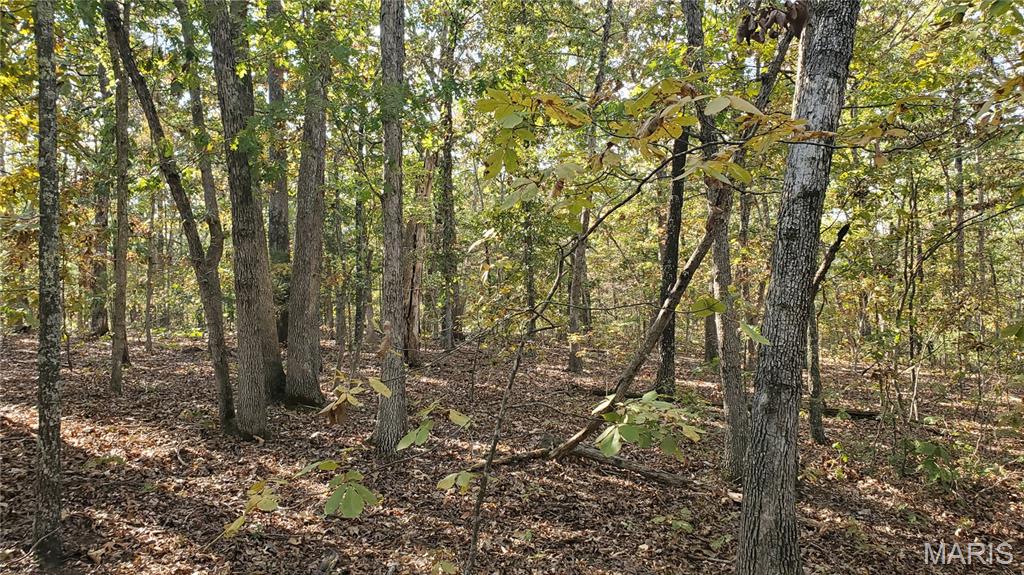 00 County Road 6030 Property Photo 19