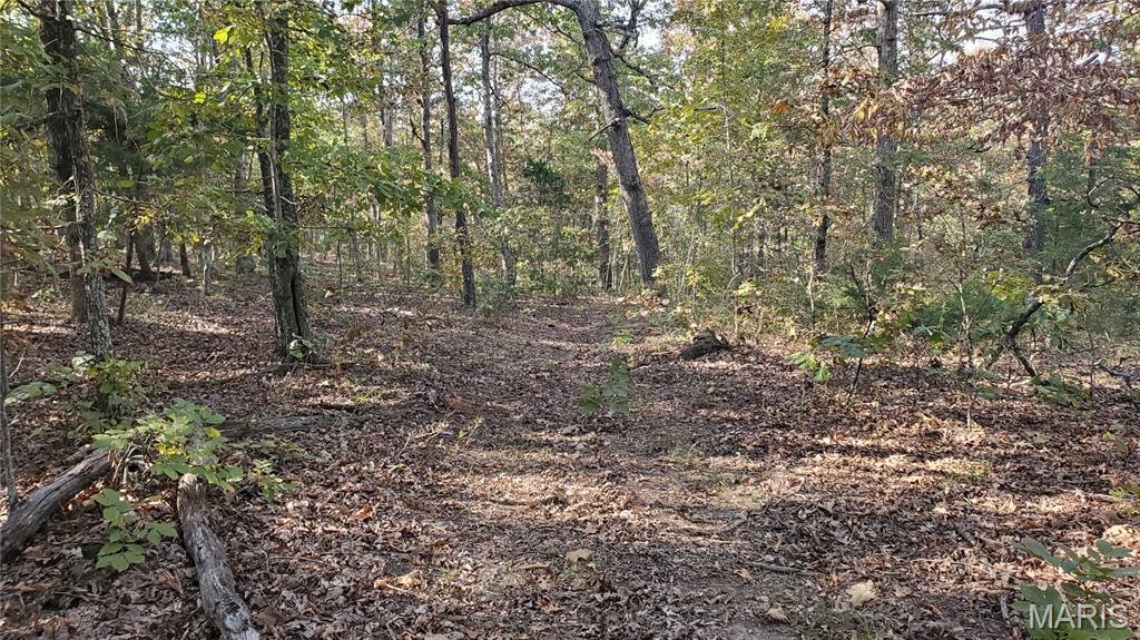 00 County Road 6030 Property Photo 20
