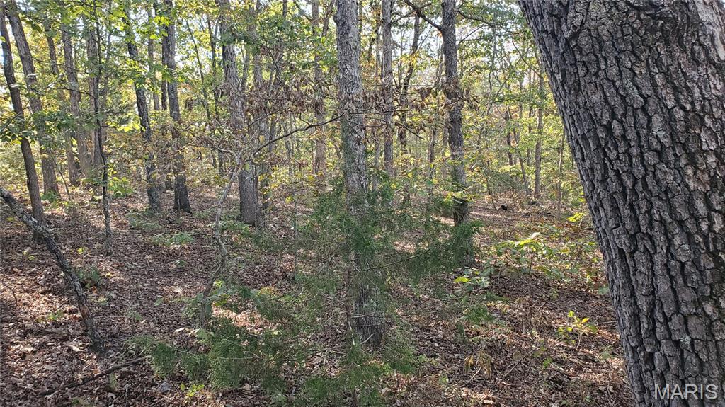 00 County Road 6030 Property Photo 21