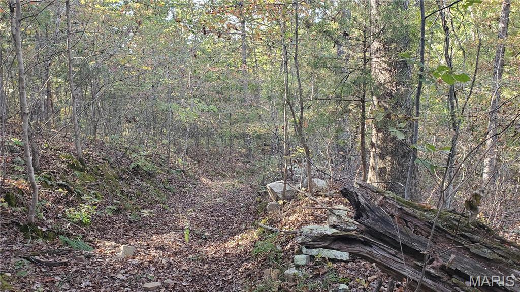 00 County Road 6030 Property Photo 22