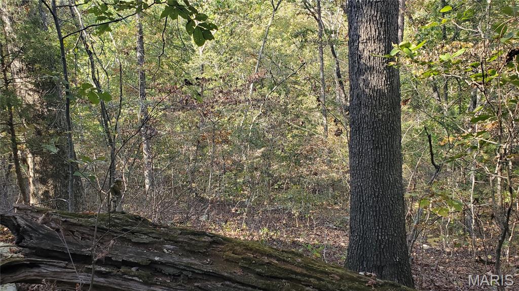 00 County Road 6030 Property Photo 23