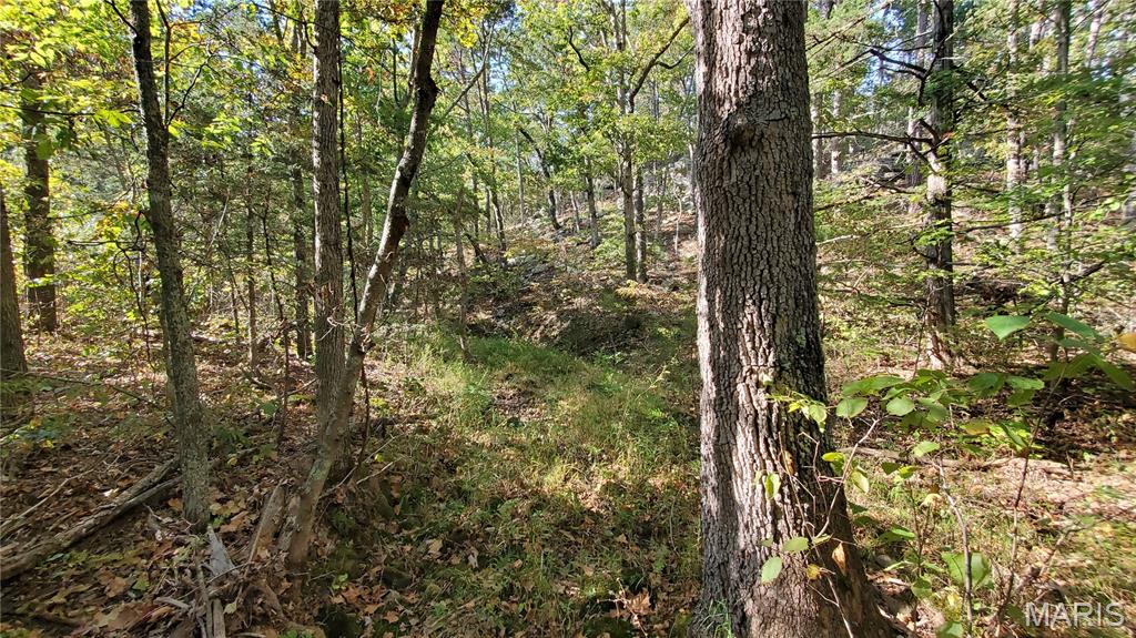 00 County Road 6030 Property Photo 24