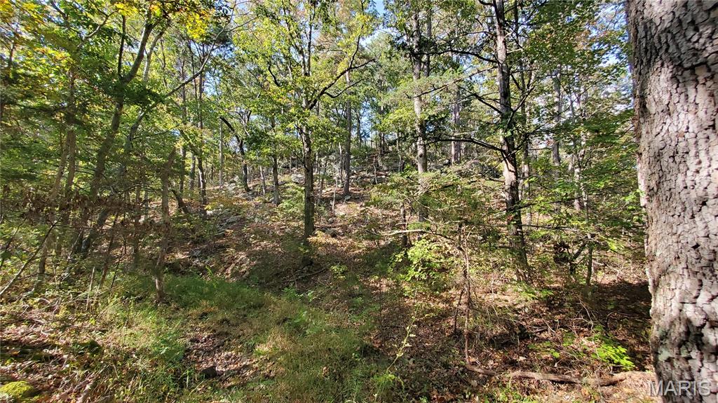 00 County Road 6030 Property Photo 25