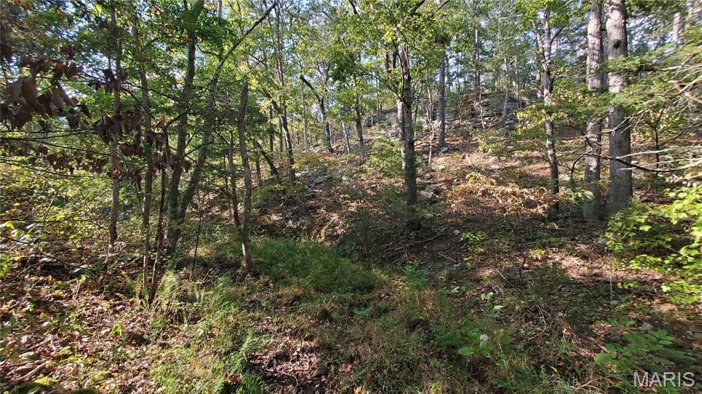 00 County Road 6030 Property Photo 27