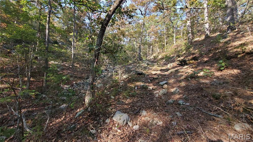 00 County Road 6030 Property Photo 28