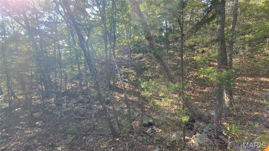 00 County Road 6030 Property Photo 29