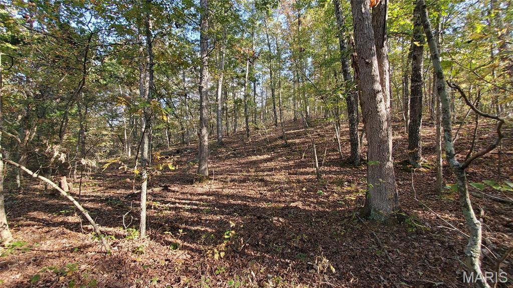 00 County Road 6030 Property Photo 30