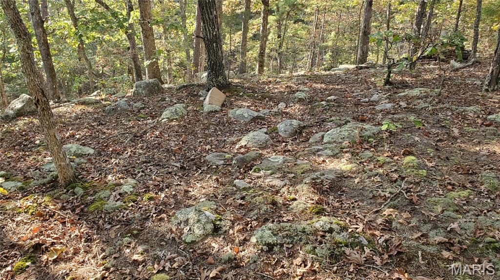 00 County Road 6030 Property Photo 33